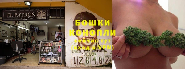 тгк Белокуриха