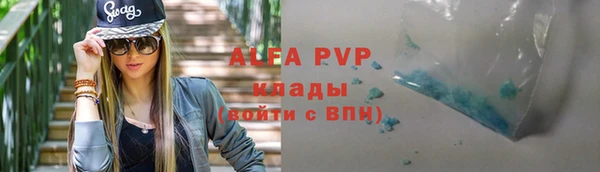 сатива Белоозёрский