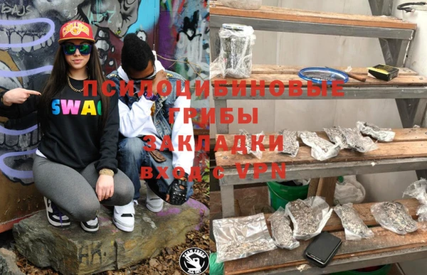 тгк Белокуриха