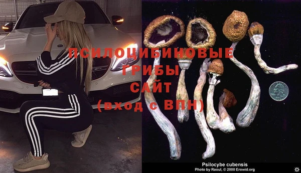 ПСИЛОЦИБИНОВЫЕ ГРИБЫ Беломорск