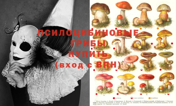 сатива Белоозёрский