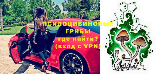 ПСИЛОЦИБИНОВЫЕ ГРИБЫ Беломорск