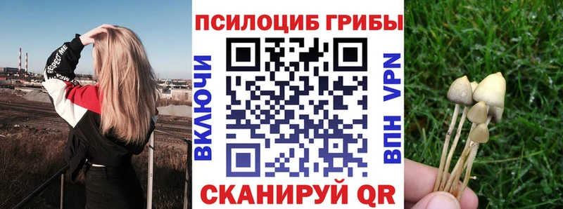 Купить  Лабинск  Галлюциногенные грибы мицелий 